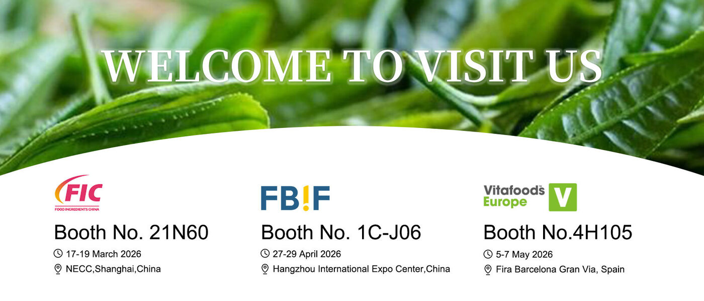 الصين أفضل مسحوق البروبيوتيك في المبيعات