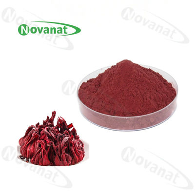 Roselle Extract Powder / Hibiscus Flower Extract Rich In Vitamin C / Pure Flavor / Clean Label