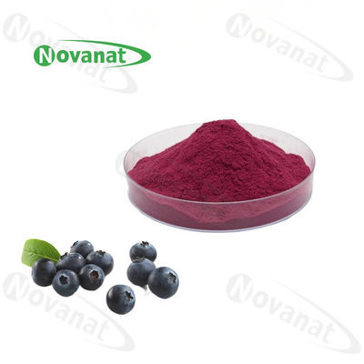 Blueberry Concentrated Fruit Vegetable Powder Pure Flavor / Water Soluble / Clean Label