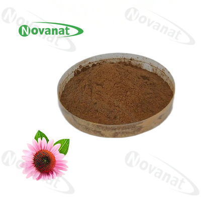 Echinacea Purpurea Extract Herbal Extract Powder 4% Polyphenols 1% 2% 4% Chicoric Acid