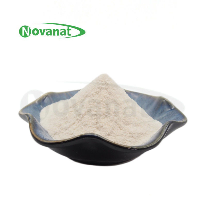 Lacticaseibacillus casei LC18/400billion CFU/g/Vegan/ Allergen Free / Gluten Free / Dairy Free