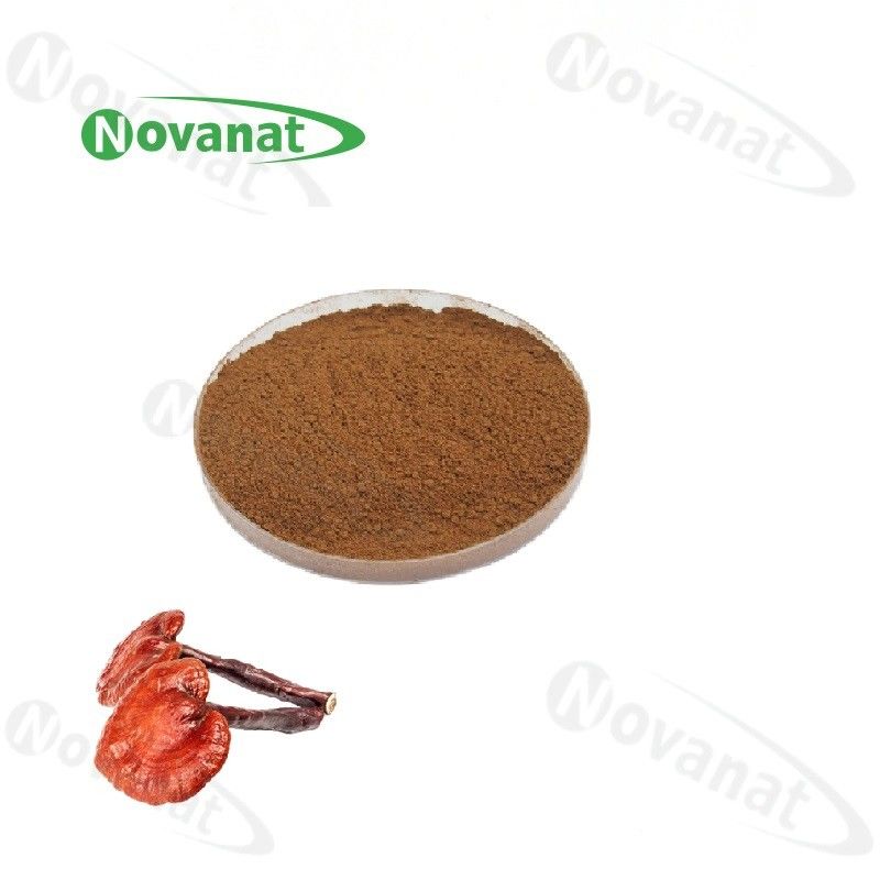 Allergen Free Ganoderma Lucidum Extract Powder / Reishi Mushroom Extract 10%-50% Polysaccharides