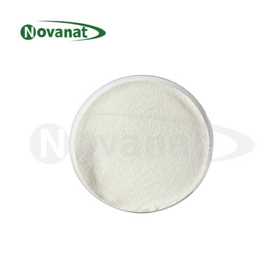 المبستر Bifidobacterium longum subsp. مسحوق Longum BL88-Onlly Postbiotics نباتي/خالي من مسببات الحساسية/خالي من الغلوتين/خالي من منتجات الألبان