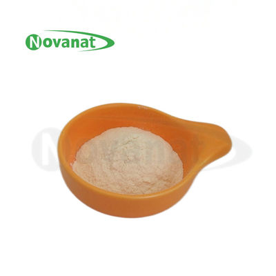 مسحوق بروبيوتيك Pediococcus Acidilactici PA10 500 مليار وحدة تشكيل مستعمرة/غ نباتي/خالٍ من مسببات الحساسية/خالٍ من الغلوتين/خالٍ من منتجات الألبان
