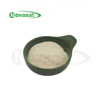 Levilactobacillus brevis LBr05 300 مليار CFU/g البروبيوتيكات مسحوق / خالية من المواد المسببة للحساسية / خالية من الغلوتين / خالية من منتجات الألبان