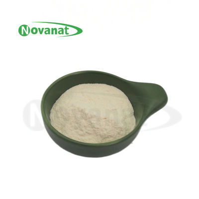 Lacticaseibacillus rhamnosus LR22/نباتي/ خال من الحساسية/ الغلوتين/ الألبان/ الصحة الهضمية