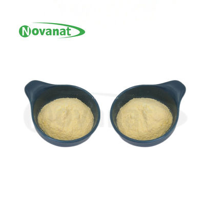 مسحوق بروبيوتيك Lactiplantibacillus plantarum LP-Onlly بعد المعالجة الحرارية / نباتي / خالٍ من مسببات الحساسية / خالٍ من الغلوتين / خالٍ من منتجات الألبان