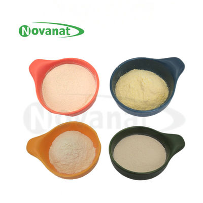 مسحوق بروبيوتيك Lactiplantibacillus plantarum LP-Onlly نباتي / خالٍ من مسببات الحساسية / خالٍ من الغلوتين / خالٍ من منتجات الألبان