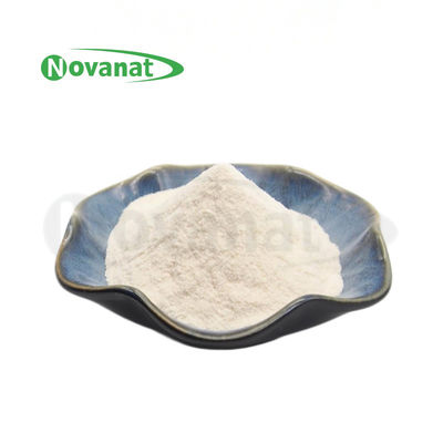Lacticaseibacillus Rhamnosus LR22/500billion CFU / G / نباتية / خالية من الحساسية / خالية من الغلوتين / خالية من الألبان