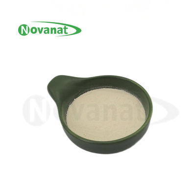 Lactobacillus delbrueckii subsp. Bulgaricus LB2/50 مليار CFU/G/نباتي/مسببات الحساسية خالية/خالية من الغلوتين/خالية من الألبان