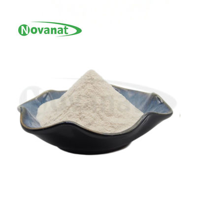 Lactobacillus amylovorus Lam600 50 مليار CFU / جم / نباتي / خالٍ (مسببات الحساسية / الغلوتين / منتجات الألبان)